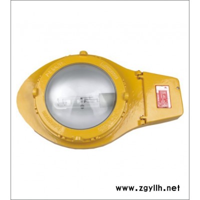 供應(yīng)雷科LK-FBD2112(BLC8610)防爆道路燈防爆燈