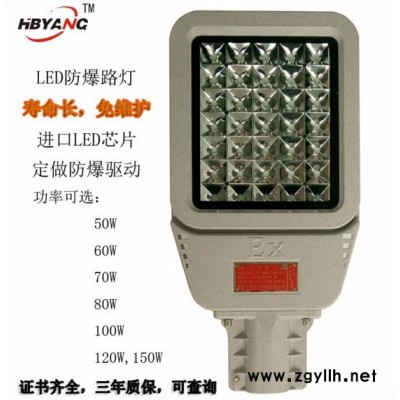 防爆道路燈BZD129油站電廠免維護廠區泛光照明燈