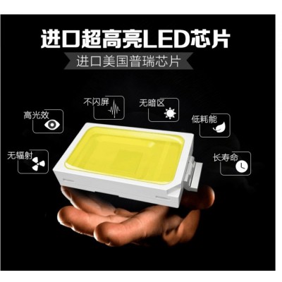 大昌路燈超亮戶外防水家用別墅庭院燈花園LED室外景觀燈地插燈路燈基礎可定制