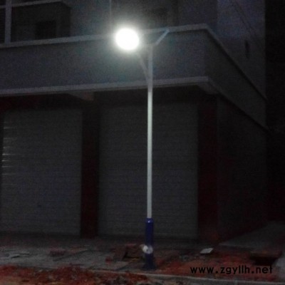 組合燈中華燈廣場商場園林景觀玉蘭燈室外景觀燈具LED路燈廠家