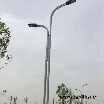 博興路燈廠    LED 路燈   市電路燈