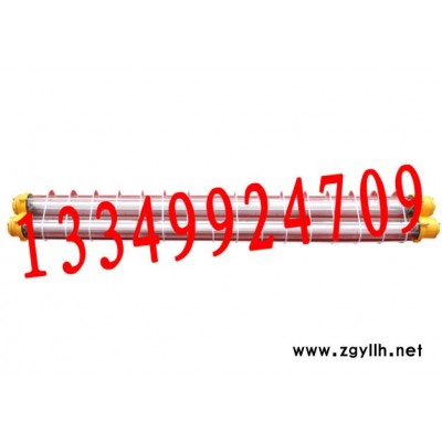 供應(yīng)BAY，防爆防腐全塑熒光燈