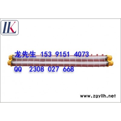 供應(yīng)雷科照明供應(yīng)LK-BAY隔爆型熒光燈