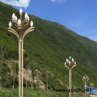 西安玉蘭燈廠 ** 價位合理，造型美觀，質(zhì)量可靠 西安路燈廠