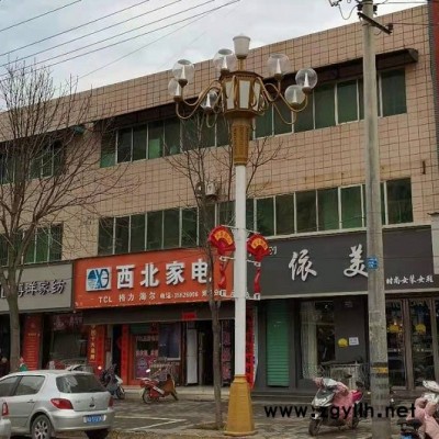 華冠照明 西安中華燈廠家 中華燈路燈 中華燈配件 造型美觀