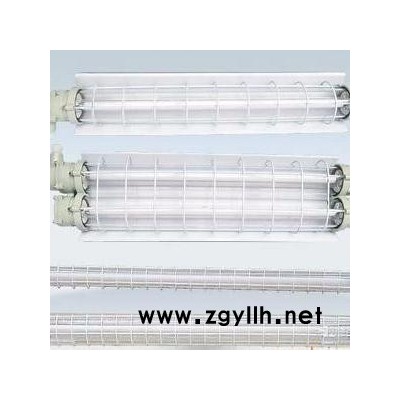 廠家批發直銷BAT52(A）隔爆型防爆熒光光燈，T8雙管熒光燈管，武漢防爆