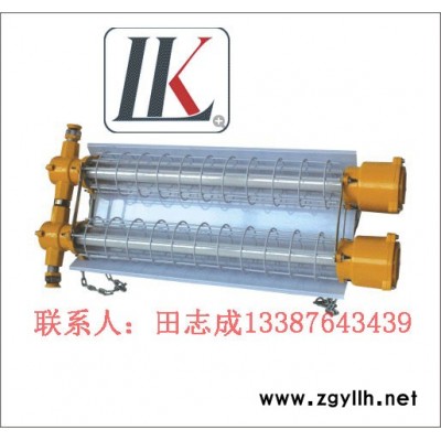 供應(yīng)雷科DGS10-18-127Y(A)礦用隔爆型LED熒光燈
