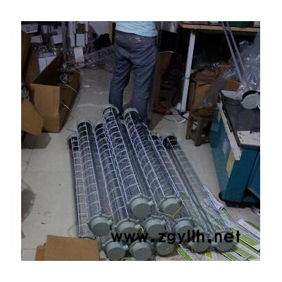 廠家批發直銷/BAT52(T5)隔爆型防爆熒光燈/武漢防爆