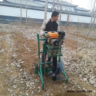 佳鑫路燈桿鉆眼機  園林栽樹打孔機  手拿輕便刨地坑機廠家