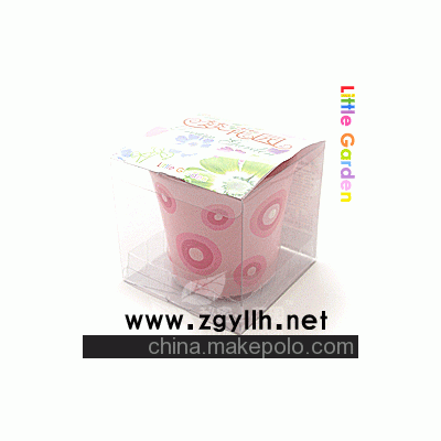 夢花園，迷你種植，花卉盆栽，DIY產品