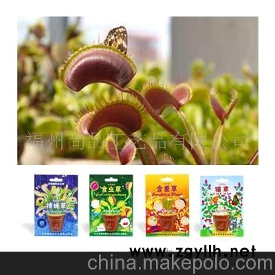 批發(fā)集市-熱銷(xiāo)混批，供應(yīng)迷你盆栽，DIY，小盆栽