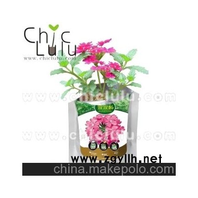 可種花的環保紙袋，時尚居家園藝