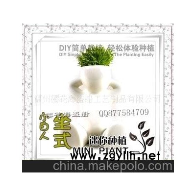 批發供應辦公桌書桌迷你盆栽花園小白人擺設盆景