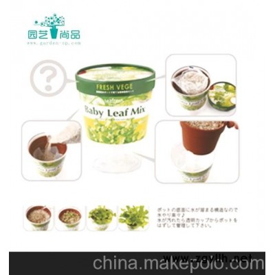 DIY園藝 可種果蔬的環保花盆 居家園藝 小盆栽 時尚園藝種植