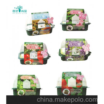 新款熱銷 花之屋-含羞草 迷你時尚園藝 DIY種植 桌上趣味園藝