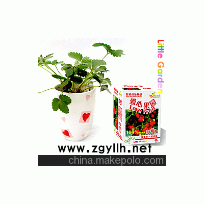 愛心果園，秘密小花園，花卉盆栽，DIY產品