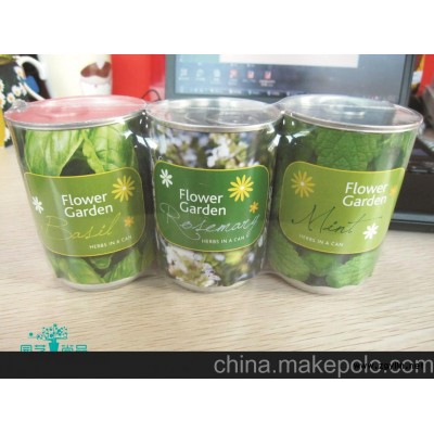 時尚園藝DIY 團購 迷你植物（薄荷） 香草，提供OEM訂做