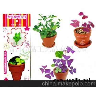 批發(fā)集市-熱銷(xiāo)混批，供應(yīng)小禮品，幸運(yùn)草，迷你盆栽