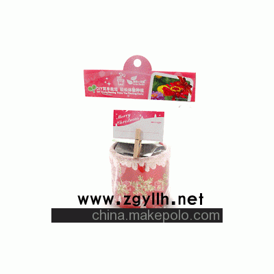 踏雪尋梅，秘密小花園，踏雪尋梅，花卉盆栽，DIY種植