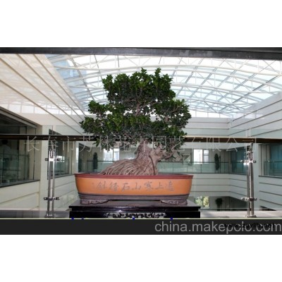 會(huì)議花卉盆景