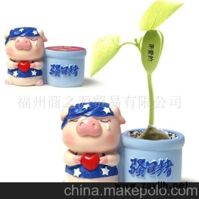 迷你花卉 我愛你微型盆景