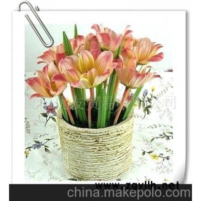 批發供應陶土花盆金雞菊盆景