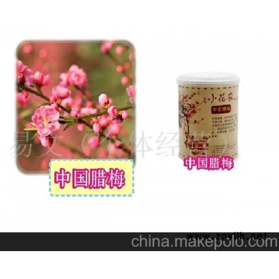 小花農又出新品了美之林迷你盆栽迷你種植-中國臘梅