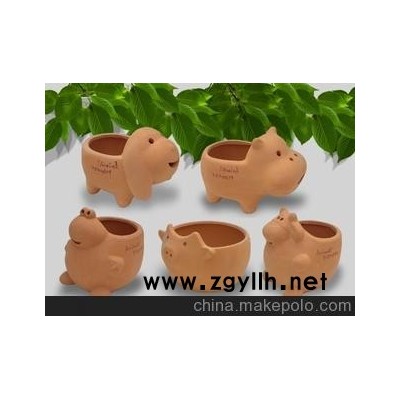 批發各種花卉 花盆 供應青島花卉種子 陽臺菜園