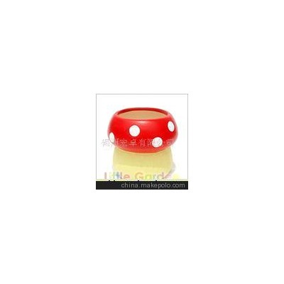 魔豆、魔蛋、小花園栽培