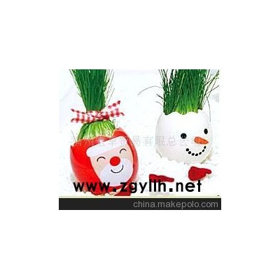 迷你小花園.魔蛋.魔豆.彩蛋.禮品