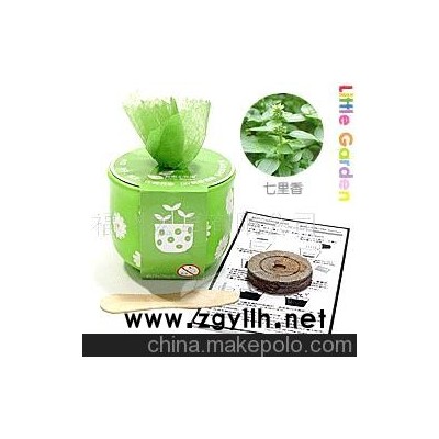 小花園、迷你植物、栽培