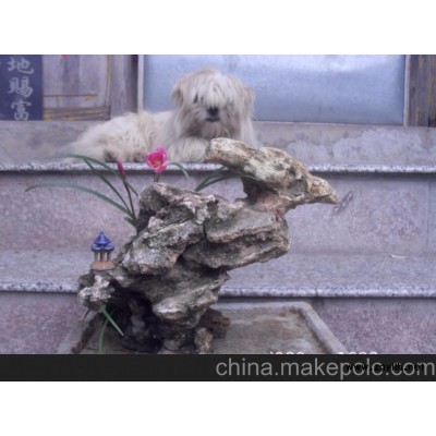 室內(nèi)山水盆景