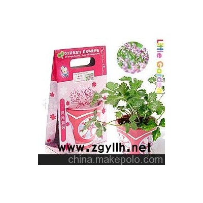 魔蛋/魔豆、風尚栽培花園