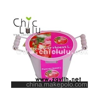 鐵藝花卉盆景、DIY盆景，提供OEM訂做