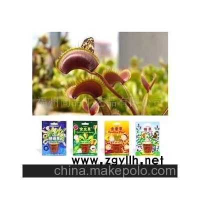 迷你小盆栽 可種果蔬的環(huán)保花盆 居家園藝 時尚盆景