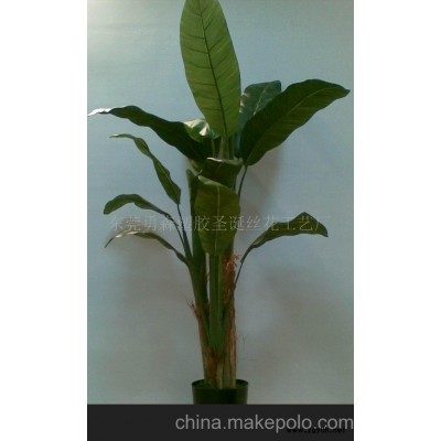 香蕉樹/芭蕉葉/葵葉/仿真植物大樹盆景