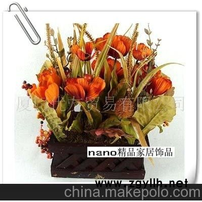 批發供應刺球方盒盆景