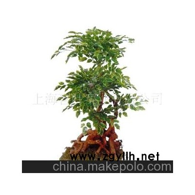 仿真榕樹 人造植物 仿真榕樹盆景