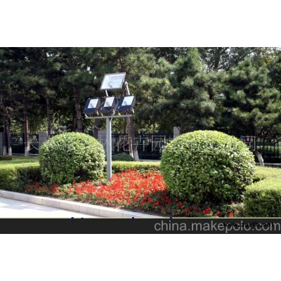 綠化工程樹木盆景