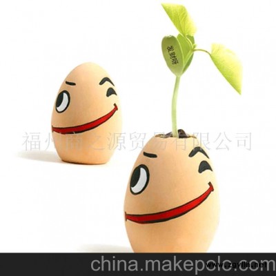 魔豆魔蛋 發財呀盆景