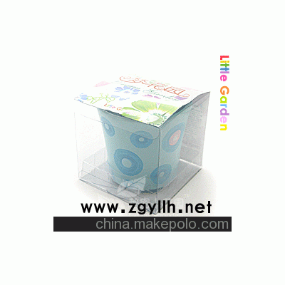 花卉盆栽，迷你種植，DIY產品