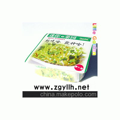 愛心菜園，DIY產品，迷你種植