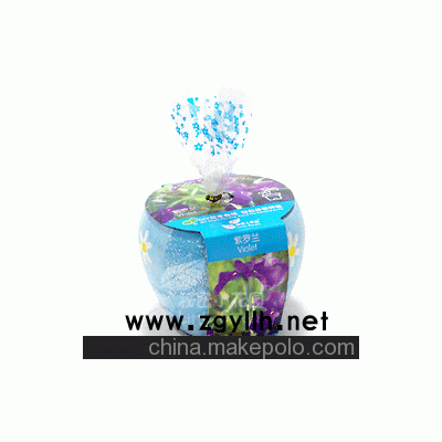 DIY產品，花卉盆栽，迷你種植