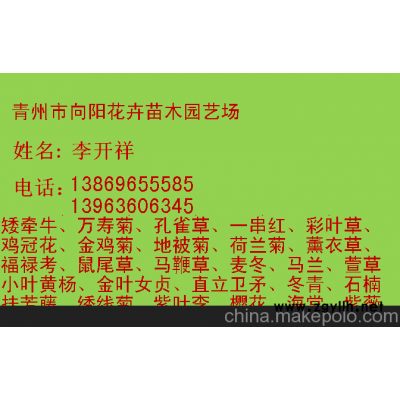 湖南薰衣草生產基地一手貨源質優價廉
