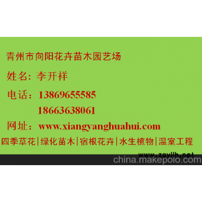 德州松果菊最新報價《認證單位》