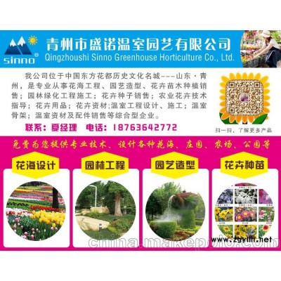 常年草花苗木銷售，花海設(shè)計(jì)，園藝造型，園林綠化