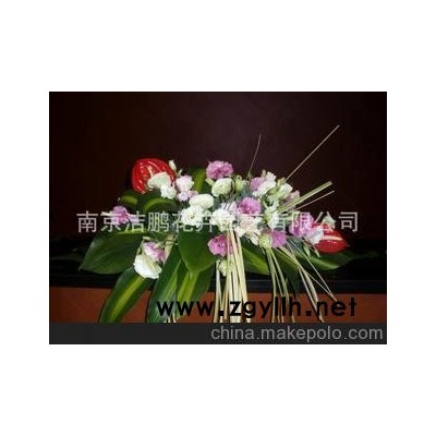 南京潔鵬花卉園藝有限公司 njjiepeng