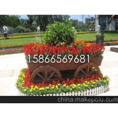 供應山東青州草花 青州黃樓草花基地