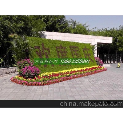 供應節日草花 北京花壇擺花