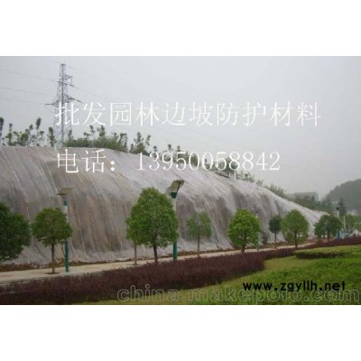 廣東草種草籽，廣州、肇慶、湛江、江門(mén)市、深圳草花種子及無(wú)紡布